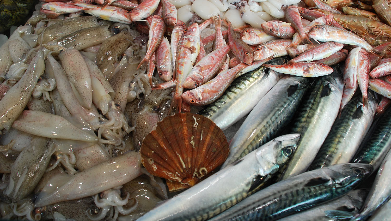 foto di pescheria il faro